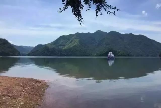景区资讯2-8.1.jpeg