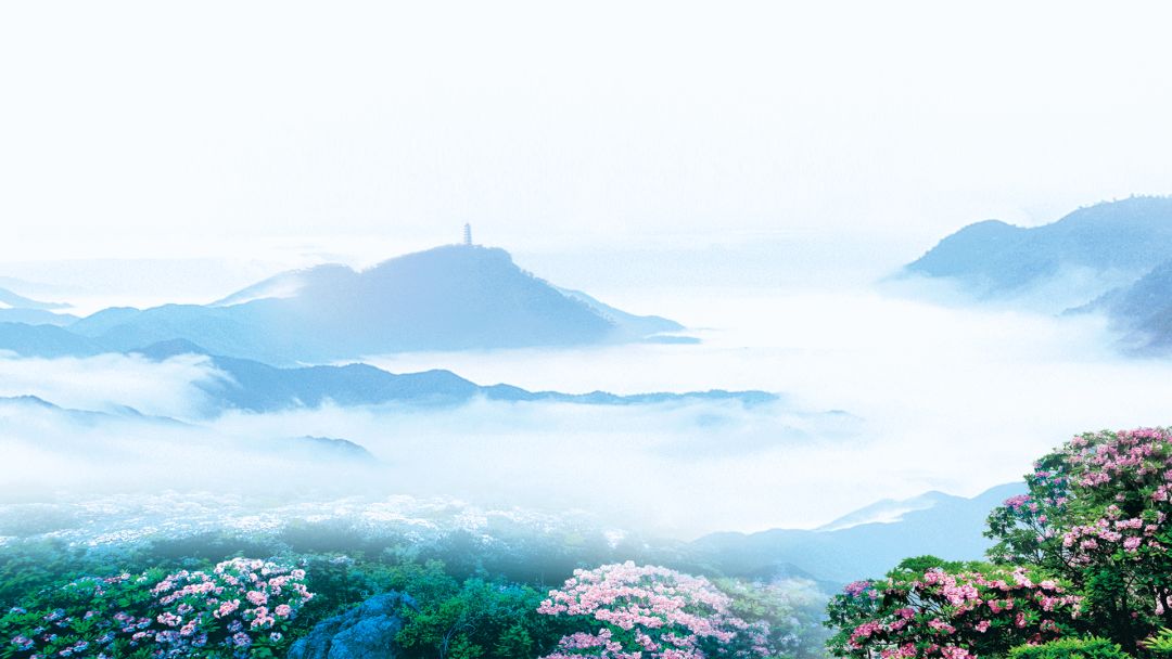 景区资讯3-3.4.jpeg