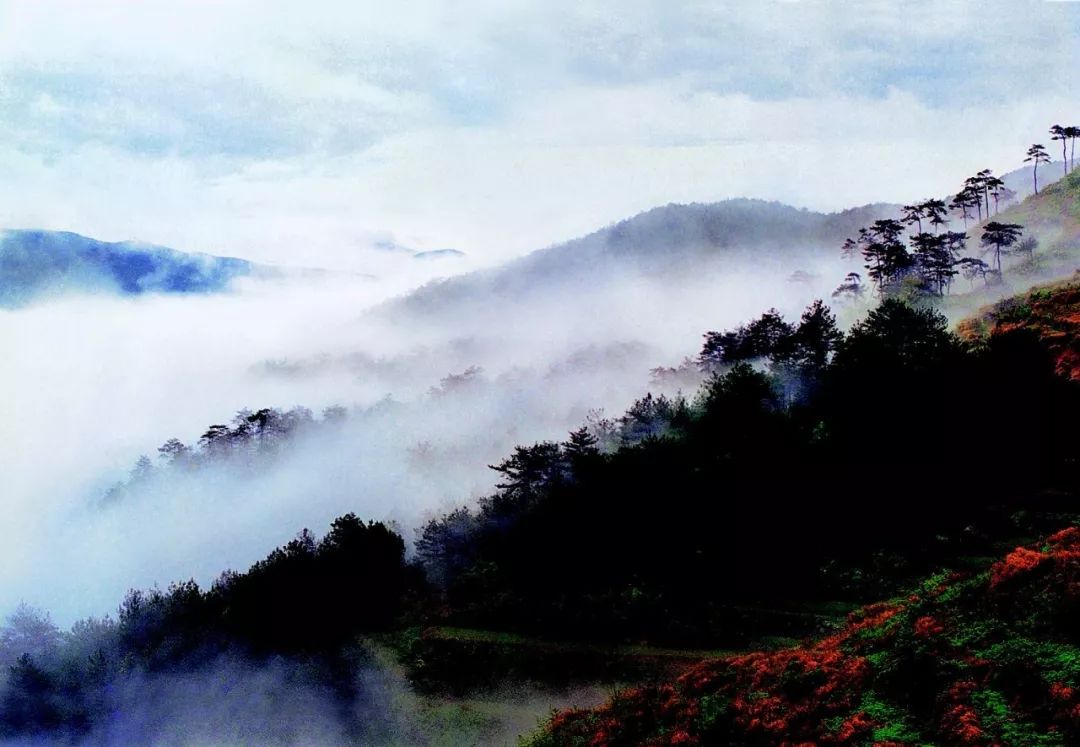 景区资讯3-5.4.jpeg