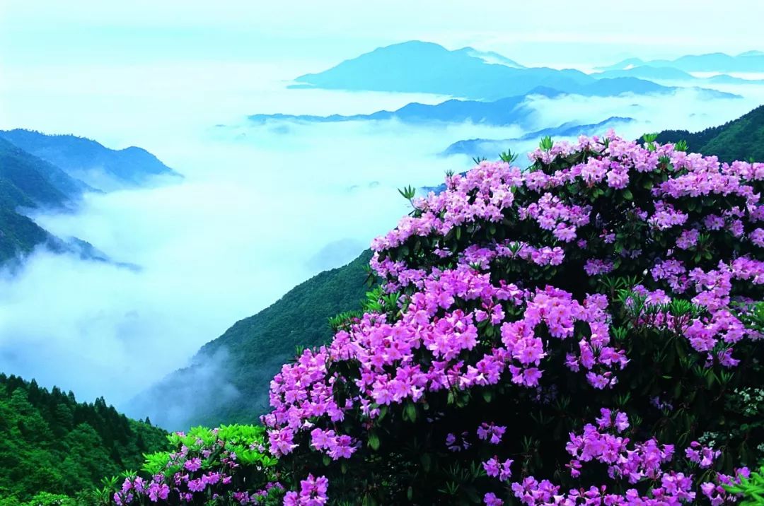 景区资讯3-9.1.jpeg